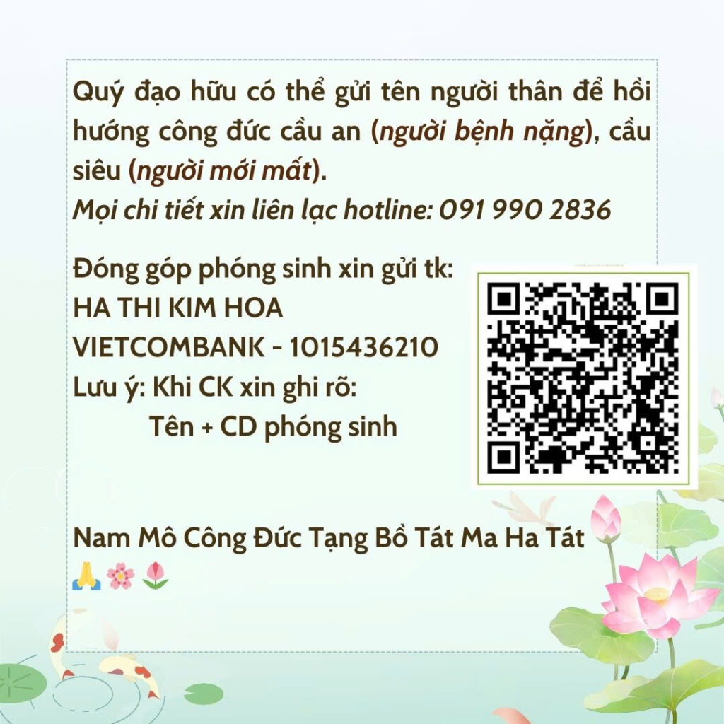 Phong sinh 31.8 (2)